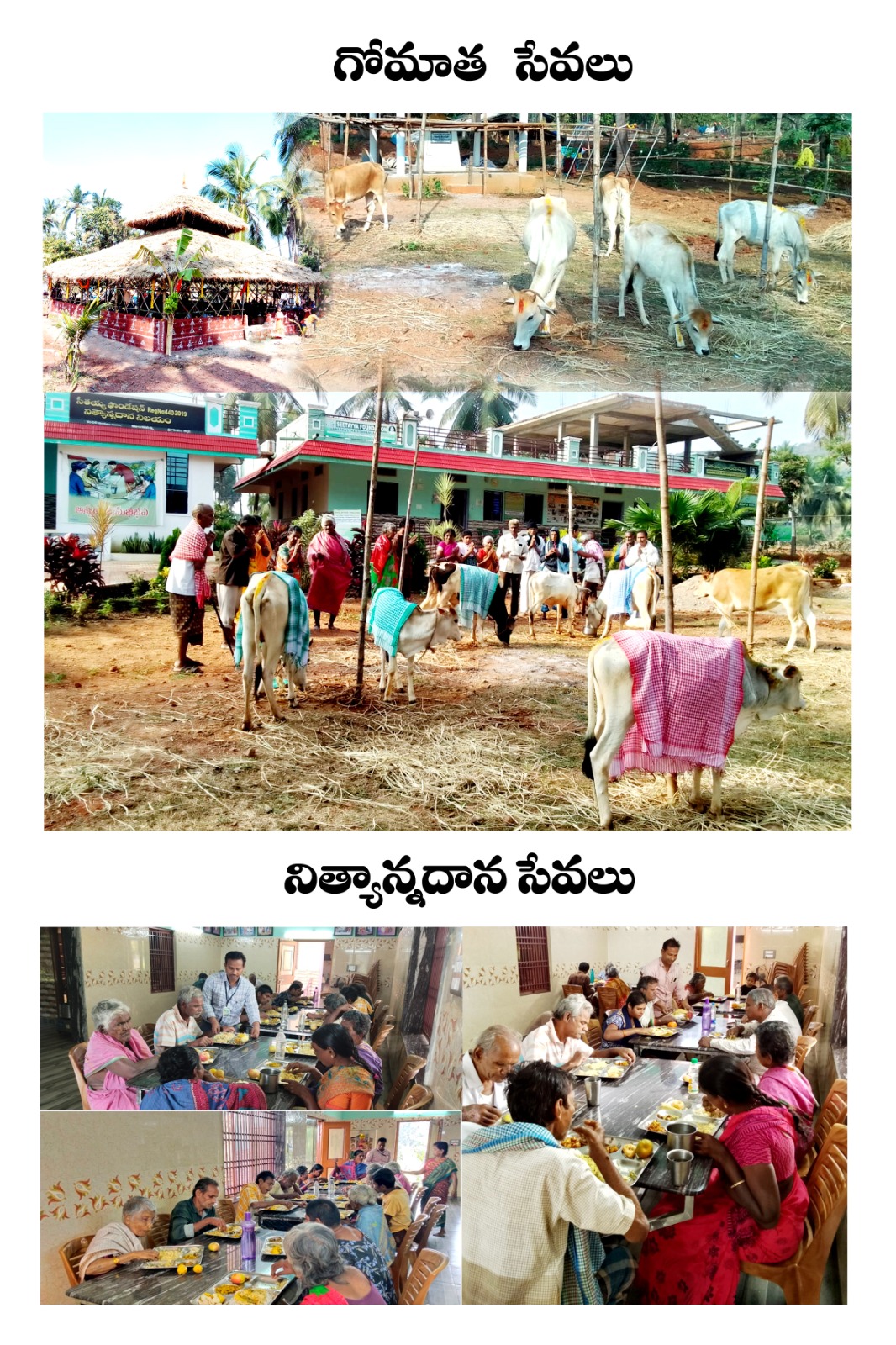 Cow care and daily annadanam services montage